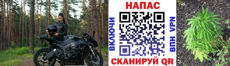 МАРИХУАНА Bruce Banner  Ипатово 